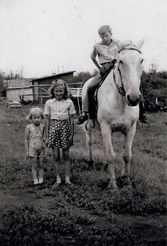 Eileen, Shirley and Roy