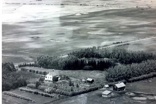 Larson farm
